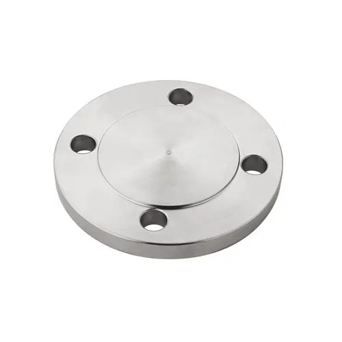 Carbon Steel Flange Cover